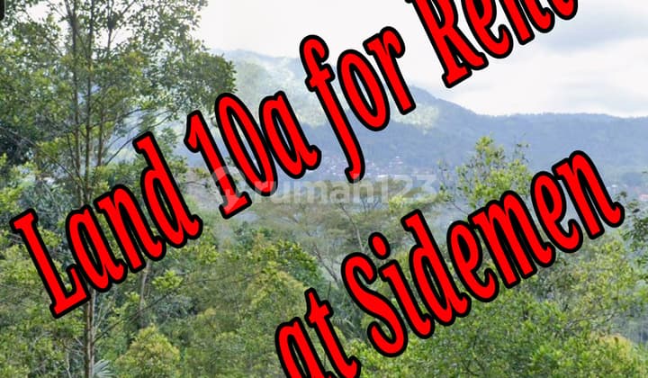 Land 10a For Rent At Sidemen Traditional Village Bali