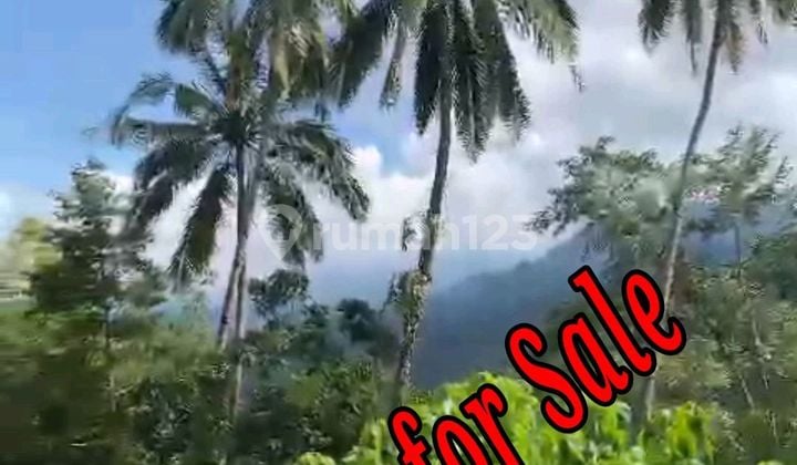 Tanah Dijual Lokasi di Desa Tradisional Sidemen Bali