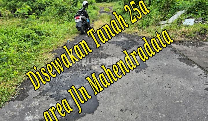 Disewakan Tanah 25A di Area Jln Mahendradata Denpasar Barat Bali Tanah di Jl. Mahendradatta No.88e, Padangsambian, Denpasar Barat, Kota Denpasar, Bali, Indonesia, 80117, Denpasar Barat SHM 2500.0 M²