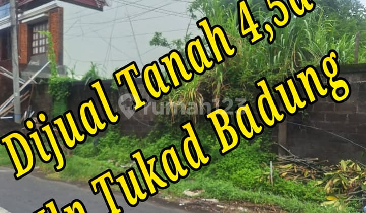 Bebas Banjir, Tanah, 1 Lantai, SHM, Dekat Sekolah Internasional, Siap Huni,