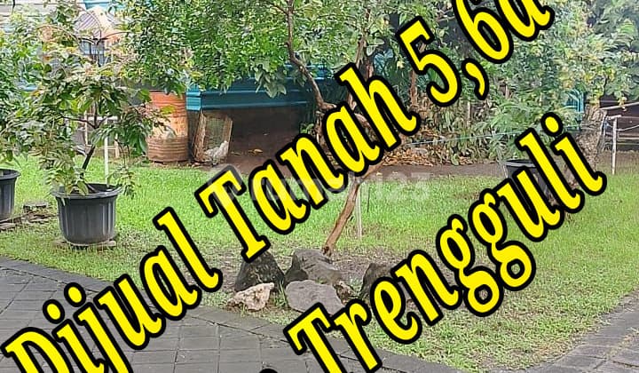 Dijual Tanah 5,6A di Jln Trengguli Denpasar Timur Bali