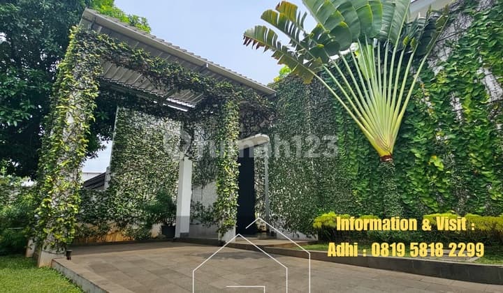 Rumah Klasik Halaman Luas Dekat Tol Cilandak