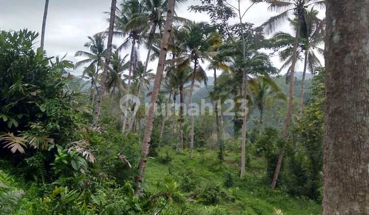 Tanah Strategsi Akses Mudah di Blok. Pasir Honje Cikembang, Salopa, Tasikmalaya