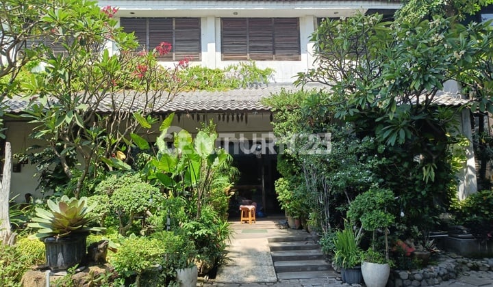Rumah Ex Cafe Luas Asri Desain Ramah Lingkungan