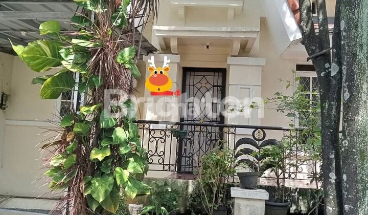 RUMAH DISEWA CANTIK MINIMALIS