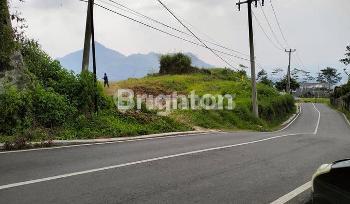 TANAH DI PUNCAK DEKAT LEGENDA WISATA