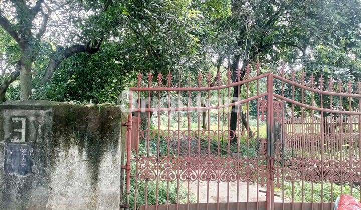 DIJUAL TANAH DATAR LOKASI BAGUS DAN STRATEGIS