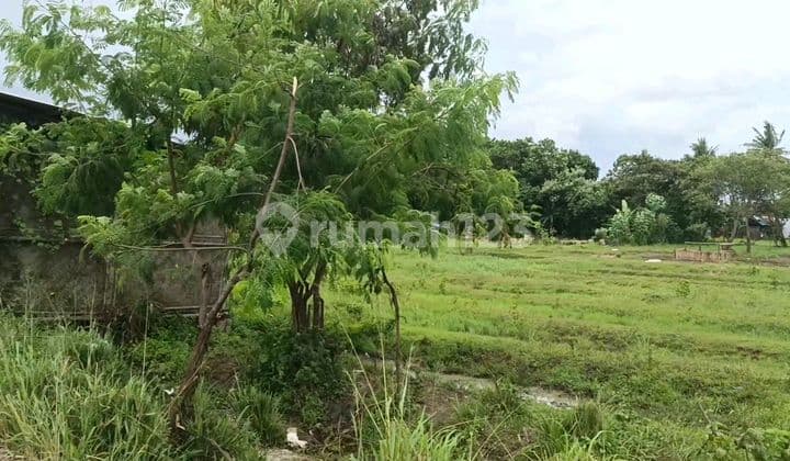 Dijual Tanah Di Kecamatan Pagedangan, Tangerang