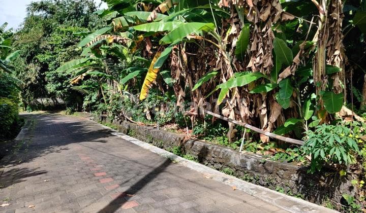 Dijual Tanah Freehold Luas 850 Mtr Dekat Pura Tanah Lot