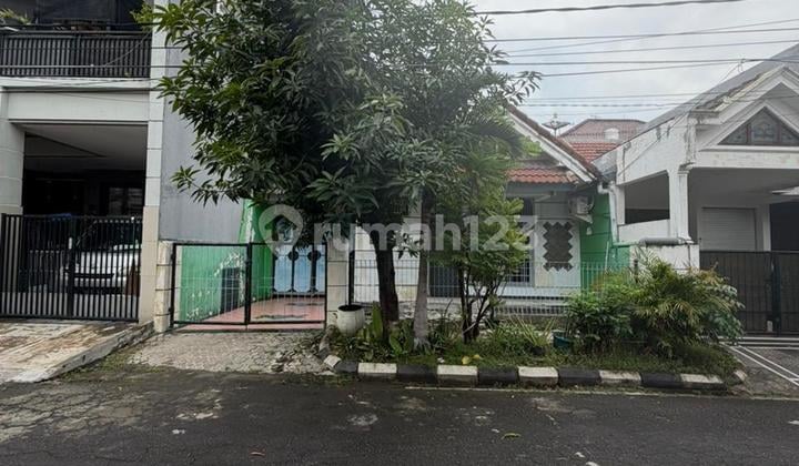 Dijual Rumah Sutorejo Prima Selatan Siap Huni Bagus Terawat Dijual Rumah Sutorejo Prima Selatan Siap Huni Bagus Terawat