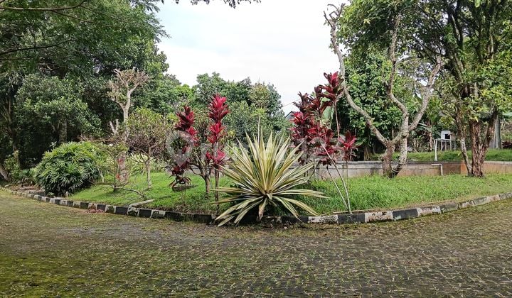 Vila Pinggir Jalan Harga Damai