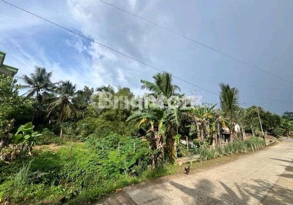 Tanah Di Palaran 2000 M² Shm