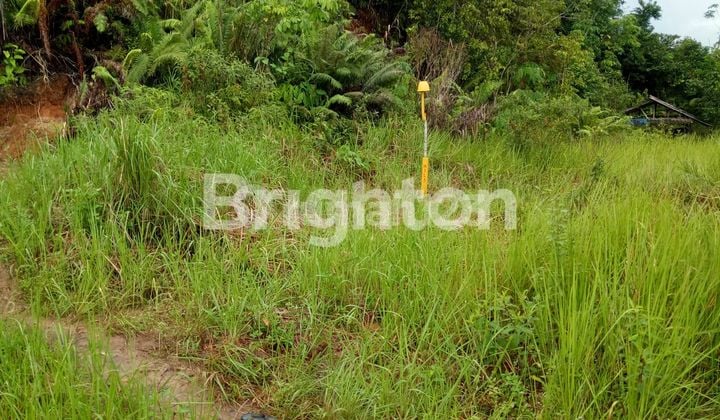 tanah dijual letak strategis di jalan kh.harun nafsi Samarinda seberang