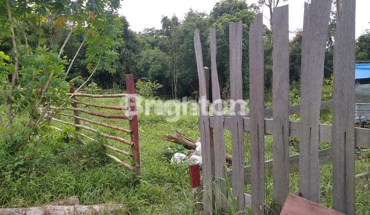 tanah luas dijual lokasi strategis di dekat stadion aji imbut Tenggarong