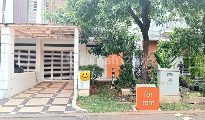 Murah Sewa Rumah 4 Br Bagus di Cluster Acacia, Summarecon Bekasi
