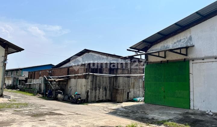 Disewakan Gudang Kapuk Kamal Jakarta Utara