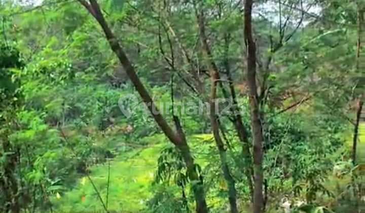 Dijual Tanah di Mainroad Cikalong Barat bisa di Bangun untuk Ruang Usaha Lokasi Strategis dan Akses Mudah