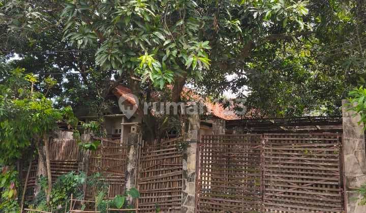 For Sale Old House Land Only in Lippo Karawaci