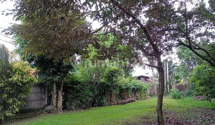 Tanah Di Parung Bogor