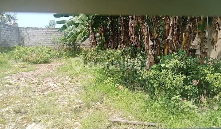 Disewakan Cepat! Tanah Shm Strategis Di Jl. Raya Buwit, Kediri - Investasi Jangka Panjang 25 Tahun