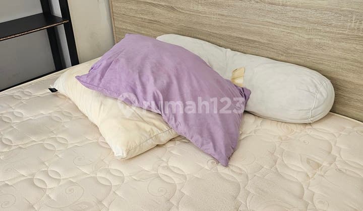 Studio Apartment at Springwood Apartments