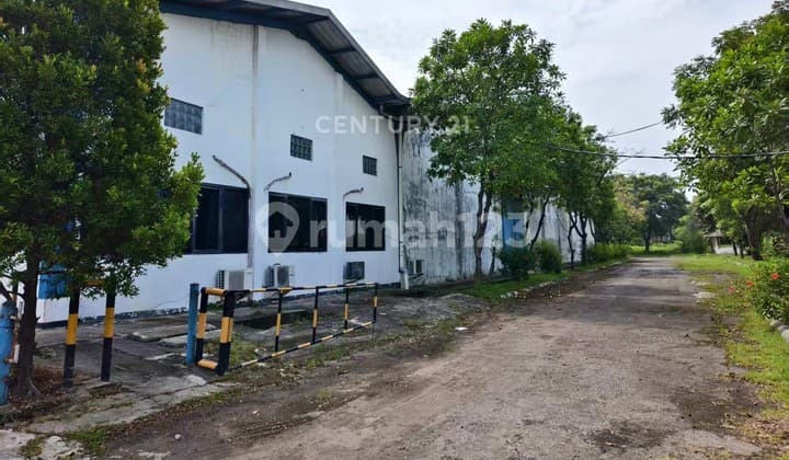 Disewakan Gudang Lokasi Sangat Strategis di Dekat Tol Cikande