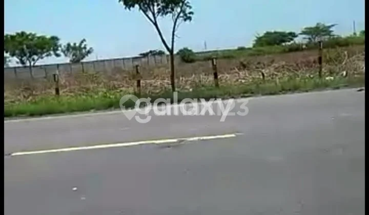 Tanah 0 jalan raya Widang, Tuban Tanah 0 jalan raya Widang, Tuban