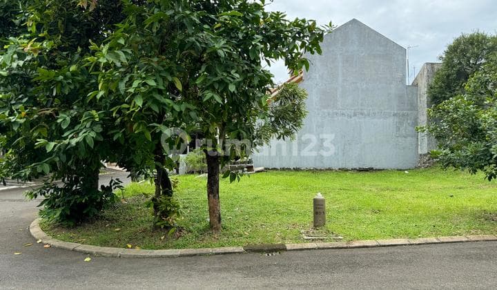 For Sale Hook Lot Citra Gran