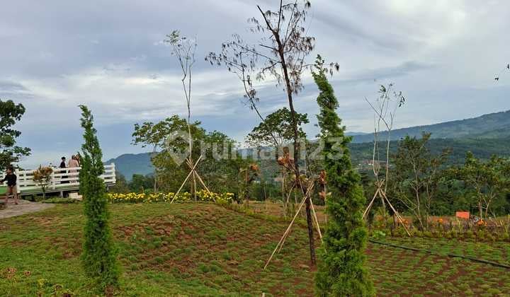 Kavling Hanjawong Nuansa Eropa di Bogor Viuw Gunung