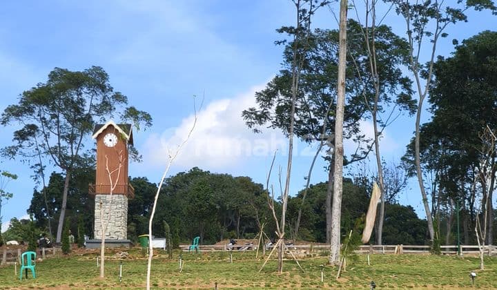 Tanah Murah Cocok Buat Investasi Lokasi Strategis Bebas Banjir