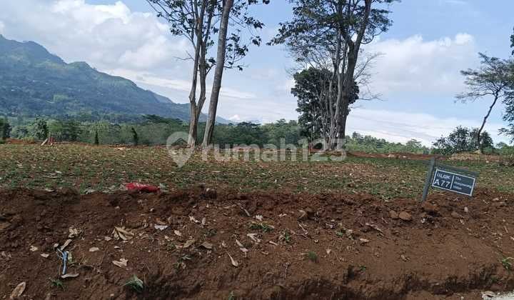 Tanah Murah Bebas Banjir Lokasi Strategis Udara Sejuk Free SHM