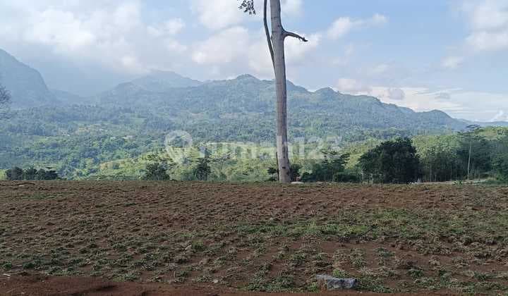 Tanah Murah Lokasi Strategis Bebas Banjir Jalan di Cor Free SHM