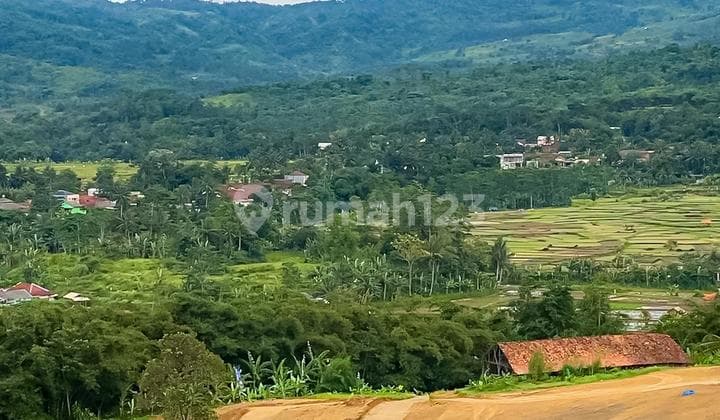 Tanah Kavling di Bogor Dekat Destinasi Wisata 1000.0 M² SHM