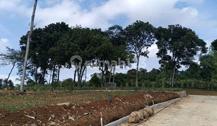 Affordable Land with a Strategic Location Featuring Classic European Ambiance, Freehold Certificate