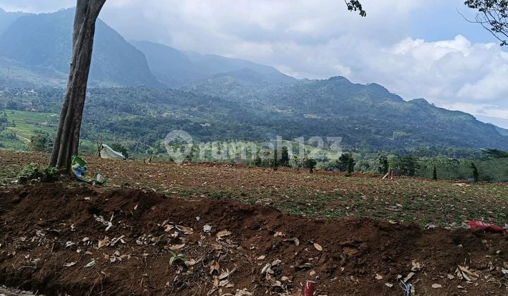 Tanah Murah di Bogor Timur Dekat Destinasi Wisata dan Sudan SHM