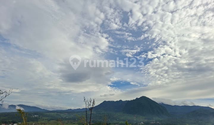 Kavling Tanah Murah Jalur Puncak 2 Free SHM Dekat Wisata Alam