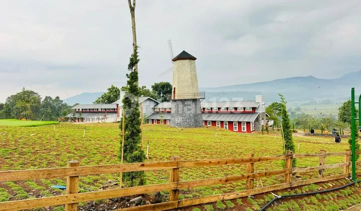 Tanah View Pegunungan Gratis Balik Nama Shm Dekat Dari Jakarta