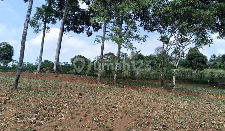 Tanah dengan Pasilitas SHM dan View Pegunungan Murah