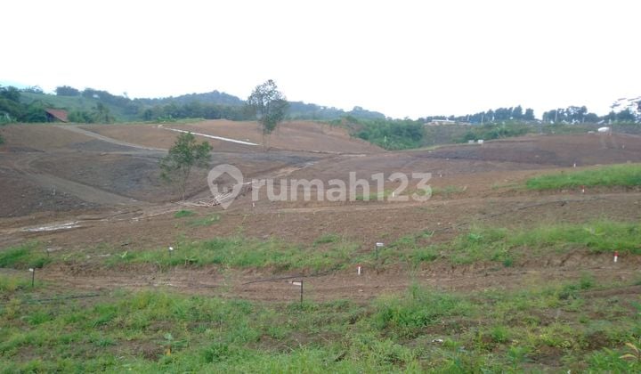 Tanah Tidak Jauh Dari Sentul Free Balik Nama SHM