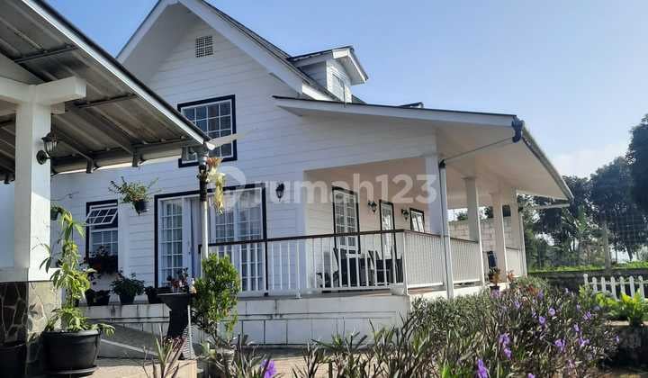 Jual Cepat. Villa Cantik, Cocok untuk Investasi. Kebunnya Luas. View Bagus. Full Furnished, Jual Murah