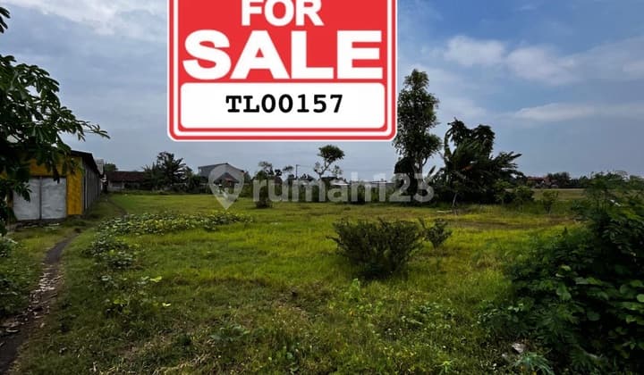 For Sale Land Zero Road For Sale Land in Wotgalih Yosowilangun Lumajang