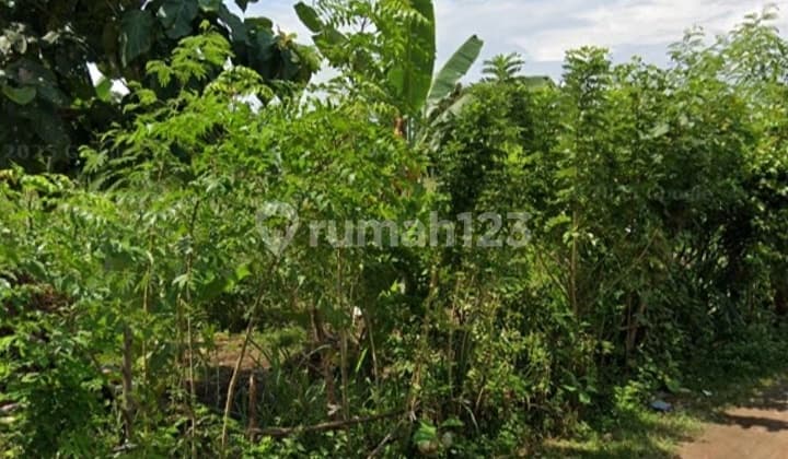 Wide Land with SHM Certificate, Industrial and Beachfront Location in Patas.