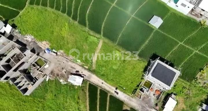 Tanah 12 Are View Sawah Dekat Canggu Bali