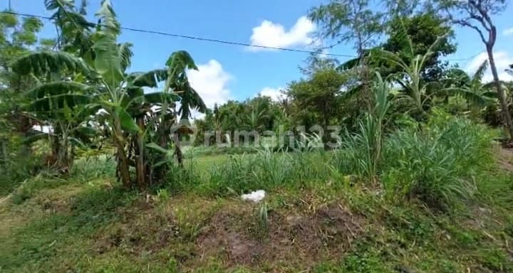 Premium Land 7,500M² in Mandalika, Beach View