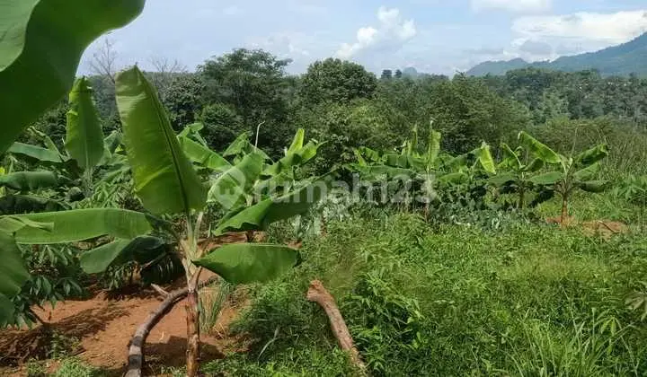 Land in Sukaharja Village, Sukamakmur District, East Bogor, West Java