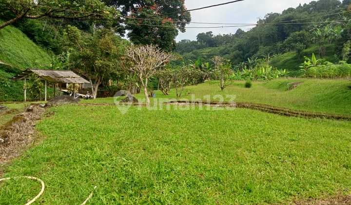 Tanah Bagus Siap Pakai di Cidokom Cisarua Bogor