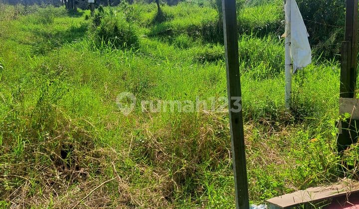 Jual Tanah Di Mainroad Cocok Buat Cafe, Vila, & Tempat Komersil