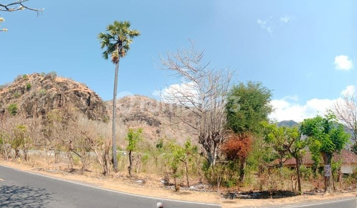 Dijual Kavling Nyaman Siap Bangun Lokasi di Buleleng Bali dekat ke Lovina