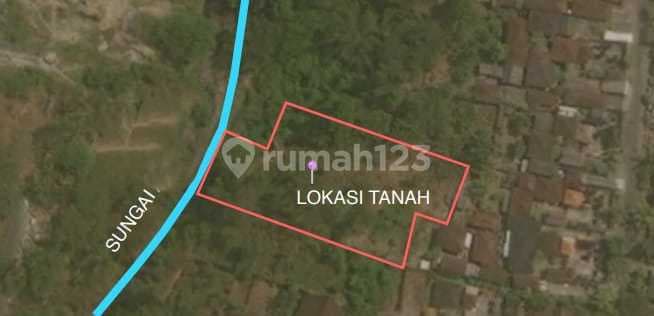 Dijual Tanah View Jungle Los Sungai Ubud