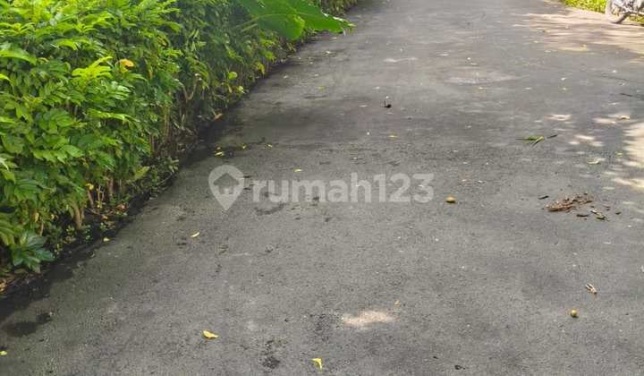 For Sale Beautiful Land Location Danau Tamblingan Sanur